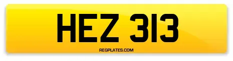 HEZ 313