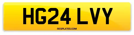 HG24 LVY