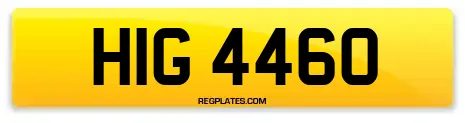 HIG 4460