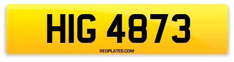 HIG 4873