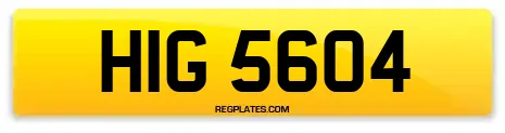 HIG 5604