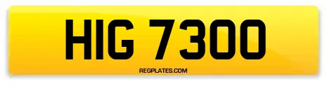 HIG 7300