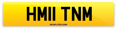 HM11 TNM