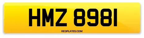 HMZ 8981