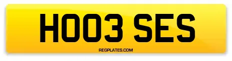 HO03 SES