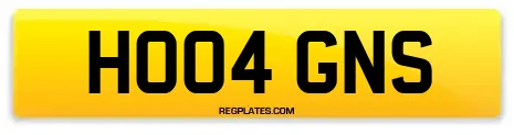 HO04 GNS