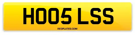 HO05 LSS