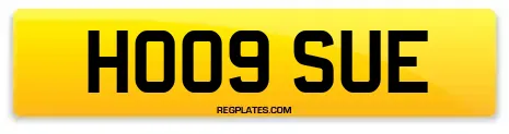 HO09 SUE