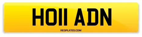 HO11 ADN