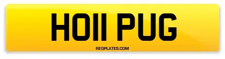 HO11 PUG