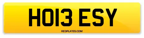 HO13 ESY