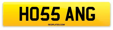 HO55 ANG