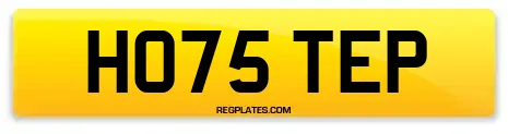 HO75 TEP