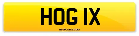 HOG 1X