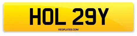 HOL 29Y
