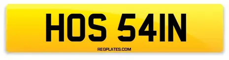 HOS 541N