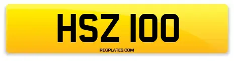 HSZ 100