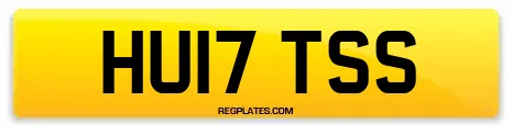 HU17 TSS