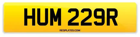 HUM 229R
