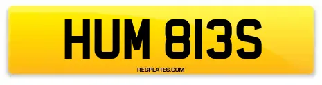 HUM 813S