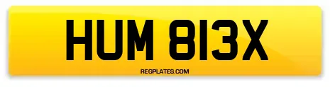 HUM 813X