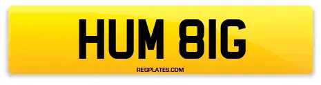 HUM 81G