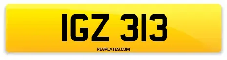 IGZ 313