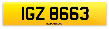 IGZ 8663