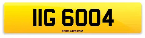 IIG 6004
