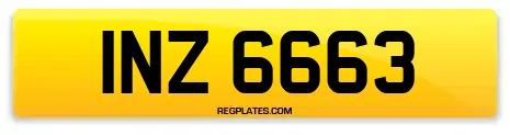INZ 6663
