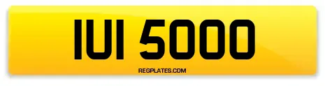 IUI 5000
