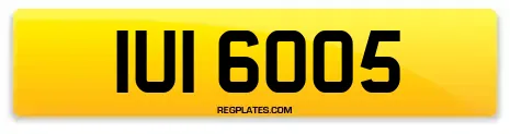 IUI 6005