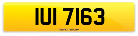 IUI 7163