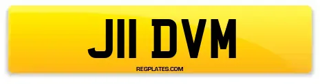 J11 DVM