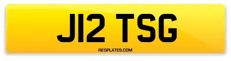 J12 TSG