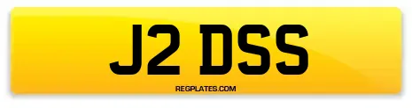 J2 DSS