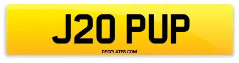 J20 PUP