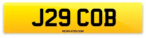 J29 COB