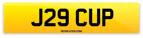 J29 CUP