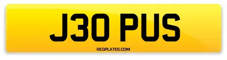 J30 PUS