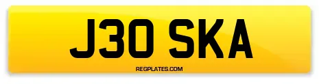 J30 SKA