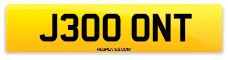 J300 ONT