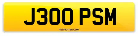J300 PSM