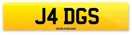 J4 DGS