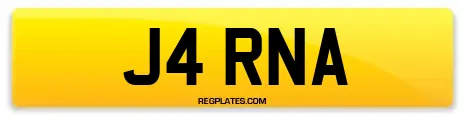 J4 RNA