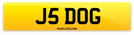 J5 DOG