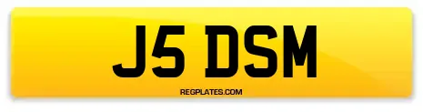 J5 DSM