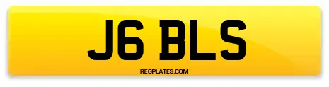 J6 BLS