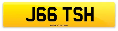 J66 TSH