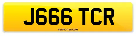 J666 TCR